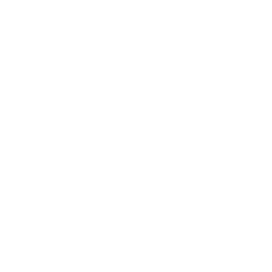 Les tako ne stoji v pasu snega, mokre trave, listja in deževja